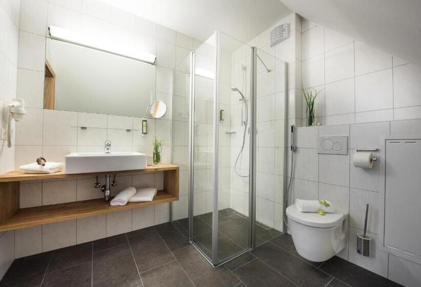 Апартаменты Superior 2 Спальни, Alpenparks Hotel & Apartment Central Zell Am See