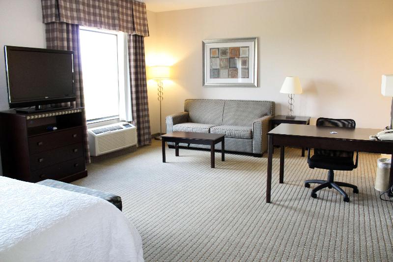 스탠다드 스튜디오 킹침대, Hampton Inn & Suites Mount Pleasant