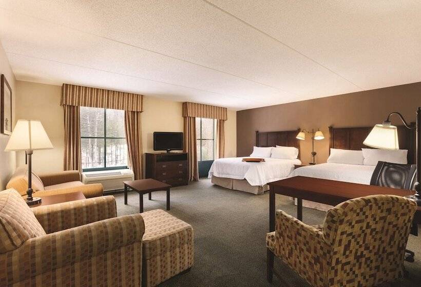 スタンダードスタジオ, Hampton Inn & Suites Lake George