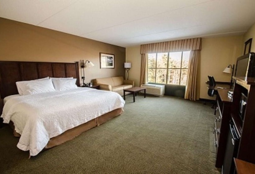 身障者適用スタンダードルーム, Hampton Inn & Suites Lake George