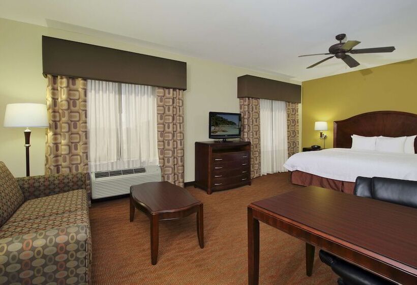 Студио Стандарт Кровать Кинг, Hampton Inn & Suites Conroe  I45 North