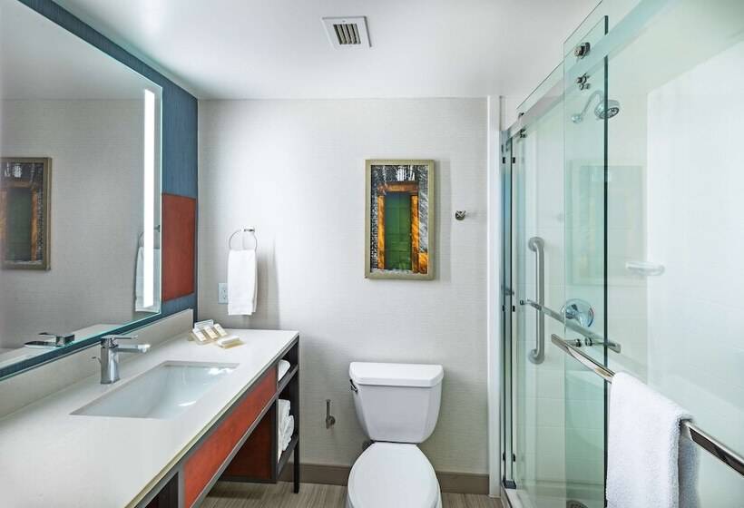 Полулюкс, Hilton Garden Inn Houston/sugar Land