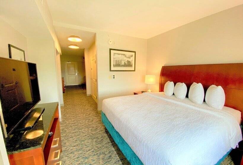 Полулюкс, Hilton Garden Inn Houston/sugar Land