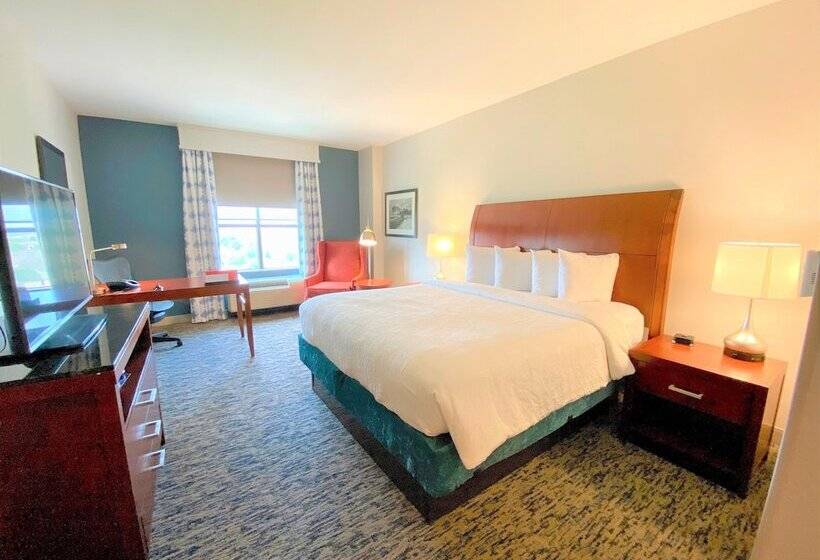 Номер Стандарт, Hilton Garden Inn Houston/sugar Land