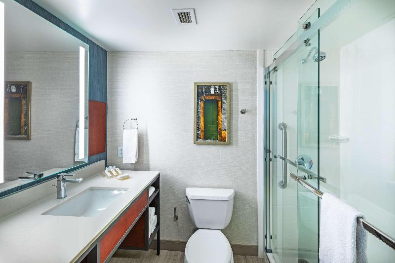 Номер Премиум, Hilton Garden Inn Houston/sugar Land