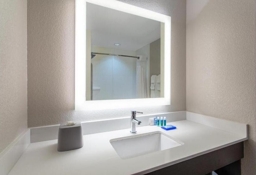 스탠다드 룸, Holiday Inn Express Silver Springs   Ocala, An Ihg