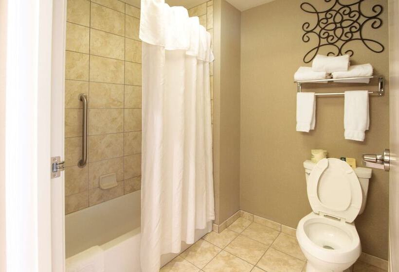 Suite, Homewood Suites By Hilton Bloomington