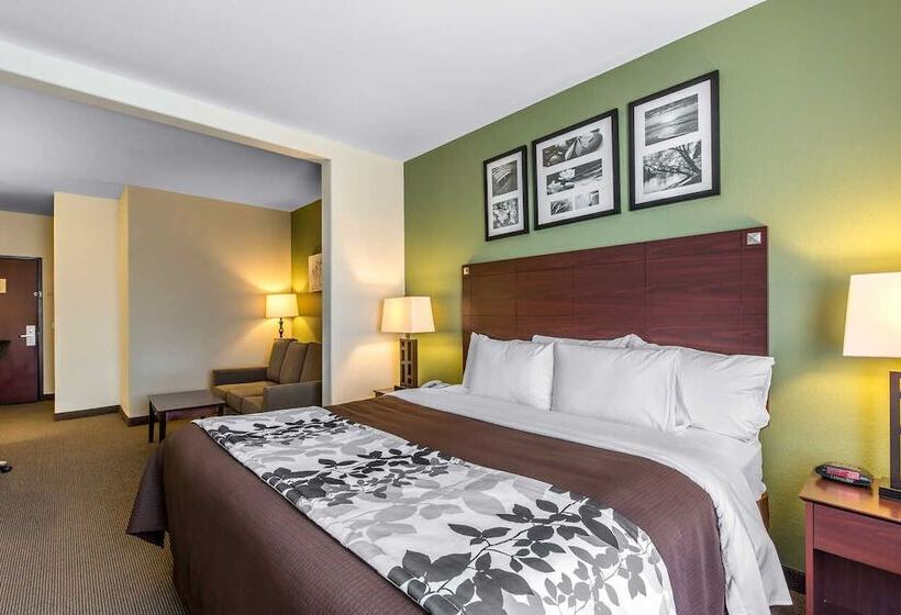 身障者適用スイートルーム, Sleep Inn & Suites Bush Intercontinental  Iah East