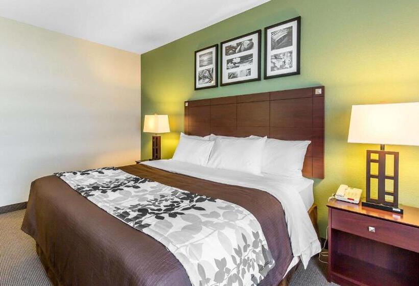 キングサイズベッドのスタンダードルーム, Sleep Inn & Suites Bush Intercontinental  Iah East