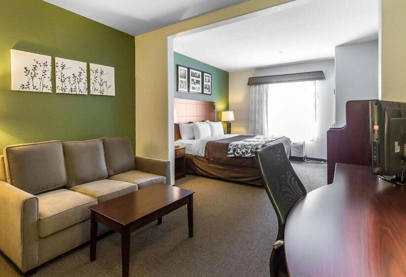 キングサイズベッドのスイートルーム, Sleep Inn & Suites Bush Intercontinental  Iah East