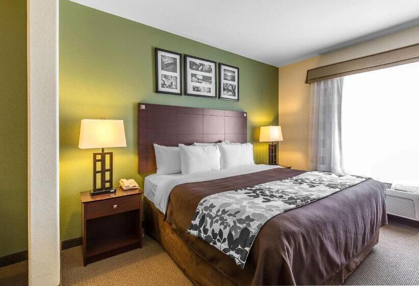 身障者適用キングサイズベッドルーム, Sleep Inn & Suites Bush Intercontinental  Iah East