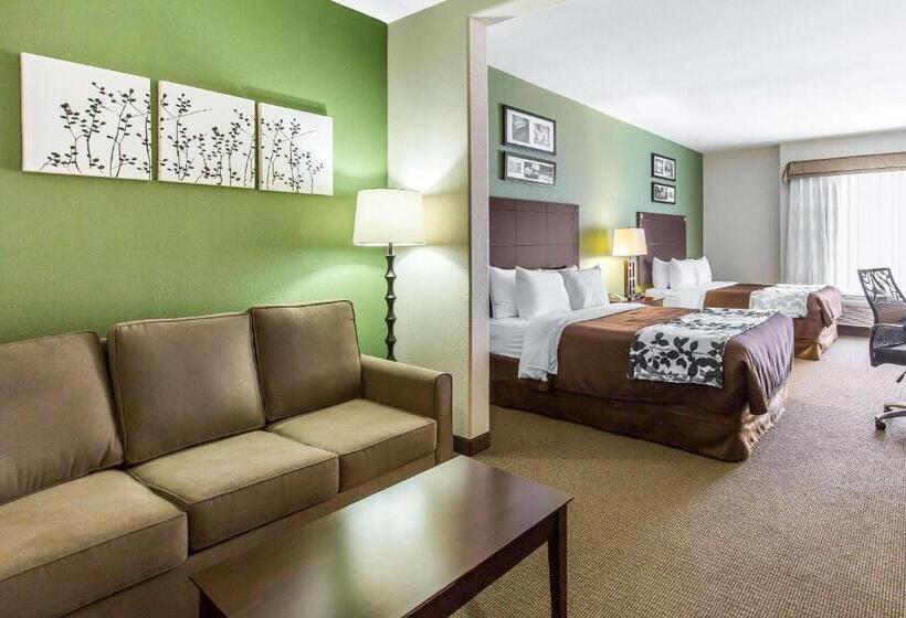 身障者適用スタンダードルーム, Sleep Inn & Suites Bush Intercontinental  Iah East