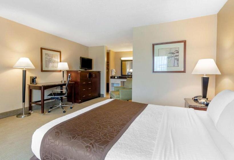 Номер Стандарт Кровать Кинг Адаптированный для Инвалидов, Best Western Lexington Inn