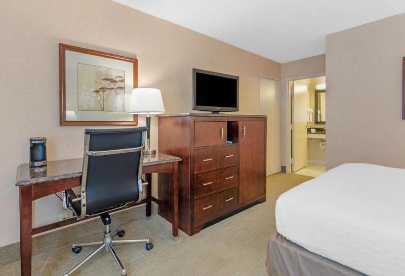 Номер Стандарт Кровать Квин Адаптированный для Инвалидов, Best Western Lexington Inn