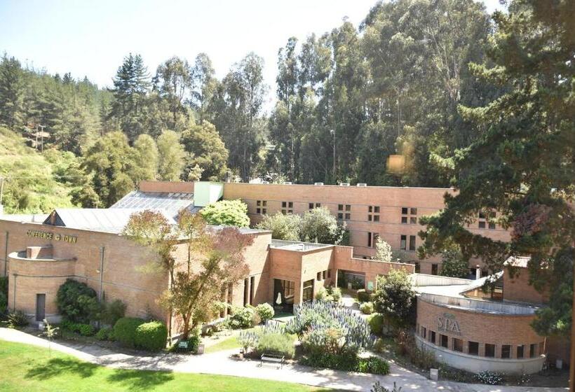 اتاق استاندارد, Bosque De Reñaca