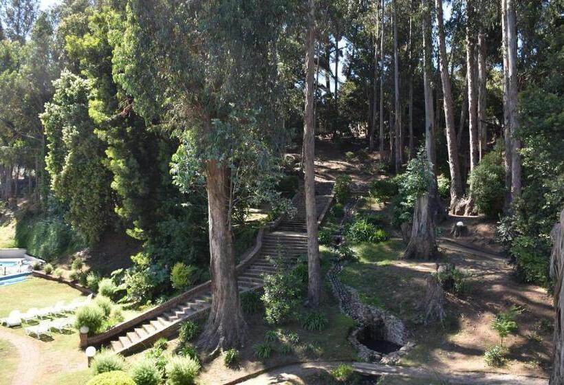 سوییت جونیور لوکس, Bosque De Reñaca
