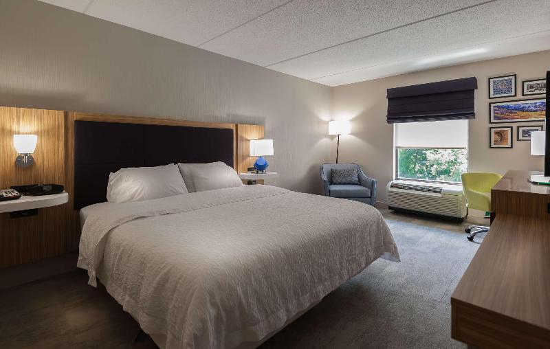 带大床的标准间, Hampton Inn Doylestown