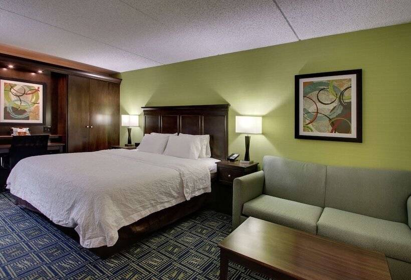 Студио Стандарт Кровать Кинг, Hampton Inn Dubois