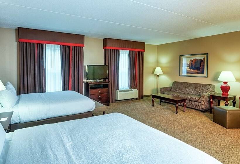 스탠다드 스튜디오, Hampton Inn Spring Lake Fayetteville