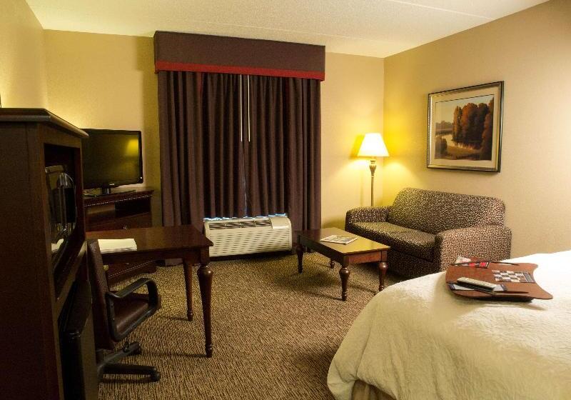 스탠다드 룸 킹사이즈 침대, Hampton Inn Spring Lake Fayetteville