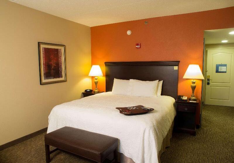 اتاق لوکس با تخت بزرگ, Hampton Inn Spring Lake Fayetteville