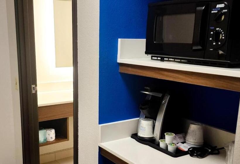 Номер Стандарт, Holiday Inn Express Hotel & Suites Chicago South Lansing, An Ihg