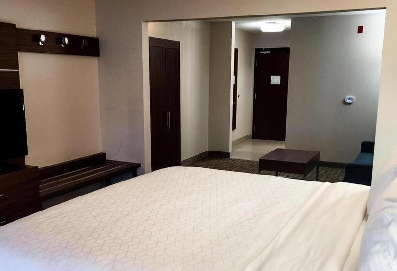Люкс Кровать Кинг, Holiday Inn Express Hotel & Suites Chicago South Lansing, An Ihg