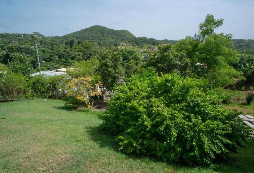اتاق استاندارد, Senderos 4 A Cozy Studio 4 Min From The Beach