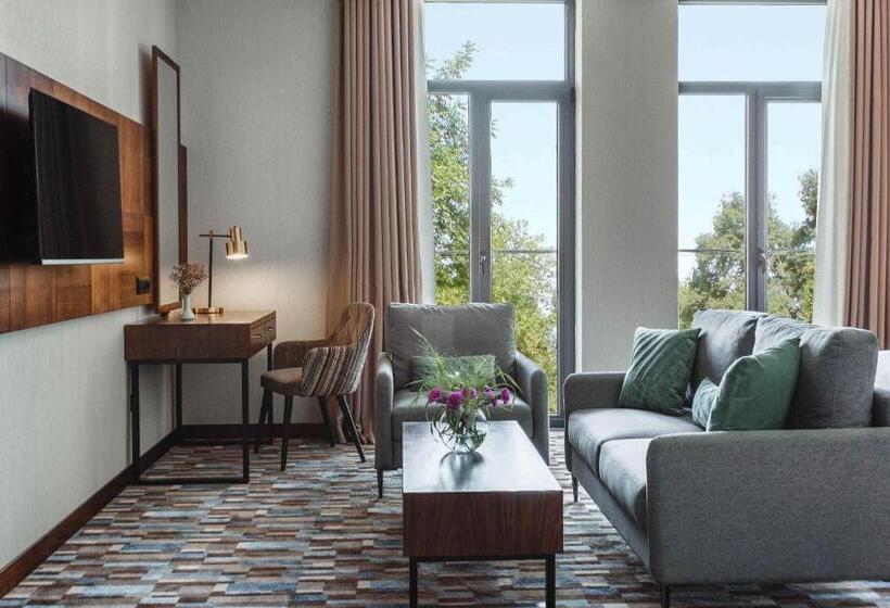 اتاق استاندارد با تخت بزرگ, Ateca Hotel Suites Tashkent