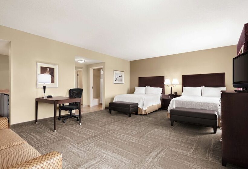 חדר סטודיו סטנדרד, Hampton Inn & Suites Brunswick