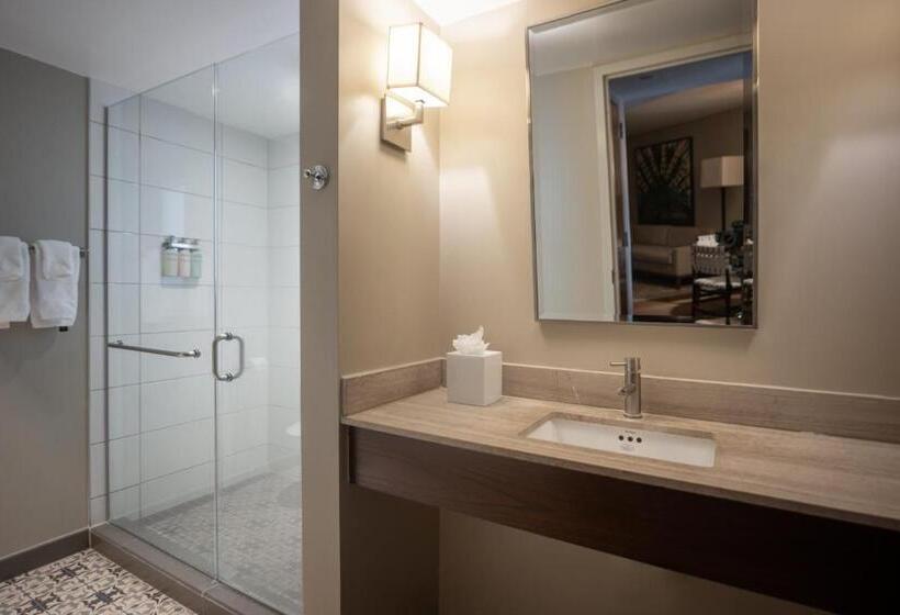 סוויטה עם נוף לנהר, Contessa   Suites On The Riverwalk