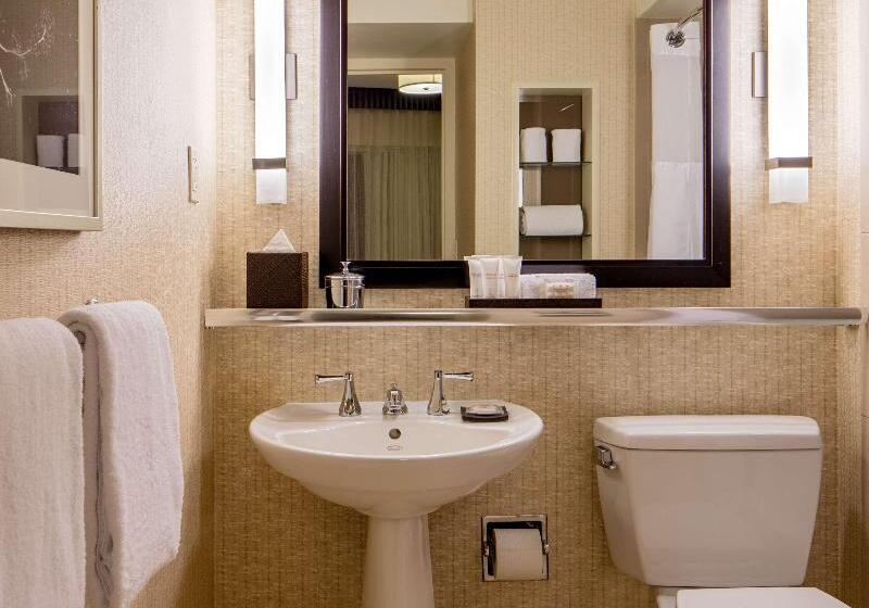 Люкс, Holiday Inn Express Hotel & Suites Mansfield, An Ihg
