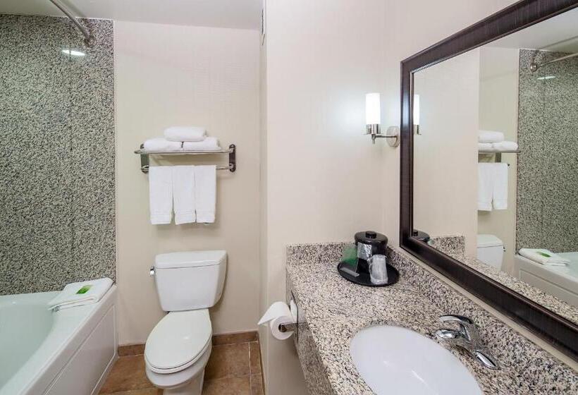 חדר סטנדרט עם מיטת קינג, Holiday Inn Express Augusta North, An Ihg
