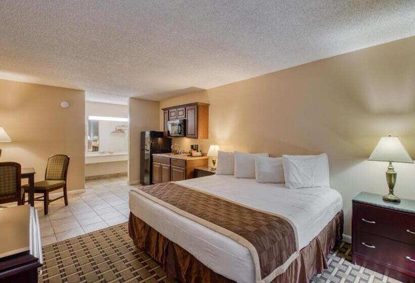 스탠다드 스튜디오 킹침대, Palms Garden Inn