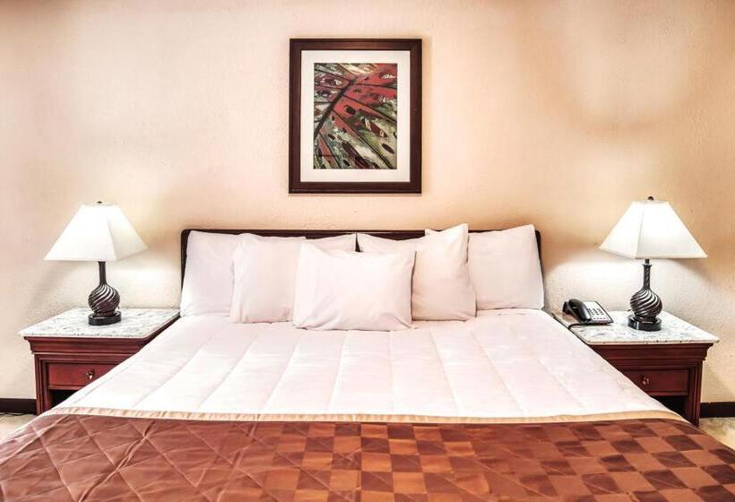 장애인을 위한 킹사이즈 침대 스탠다드 룸, Palms Garden Inn