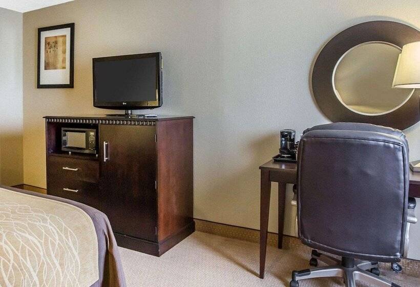 스위트, Comfort Inn & Suites Near Tinley Park Amphitheater
