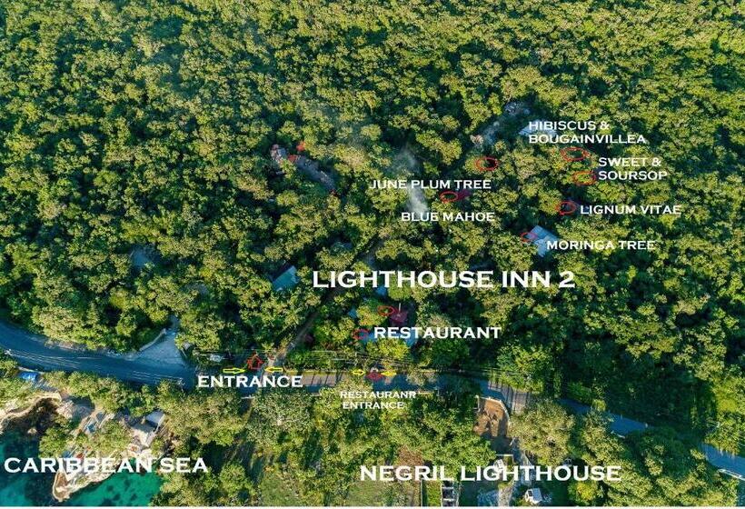 استودیو استاندارد با چشم‌انداز باغ, Lighthouse Inn 2