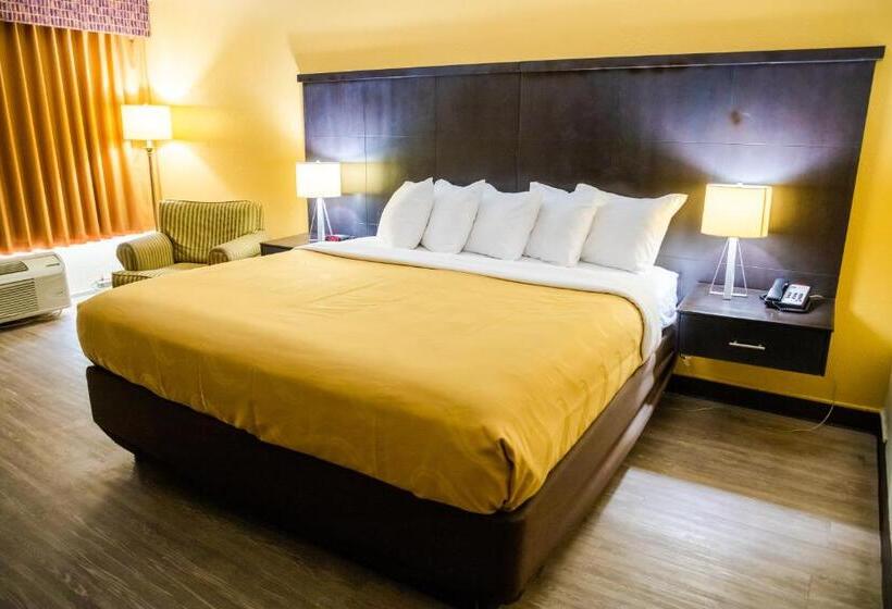 스탠다드 룸 킹사이즈 침대, Quality Inn Richmond Hill  Savannah I95