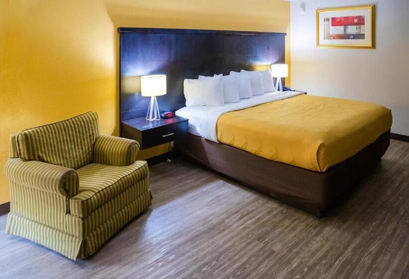 스탠다드 룸 킹사이즈 침대, Quality Inn Richmond Hill  Savannah I95