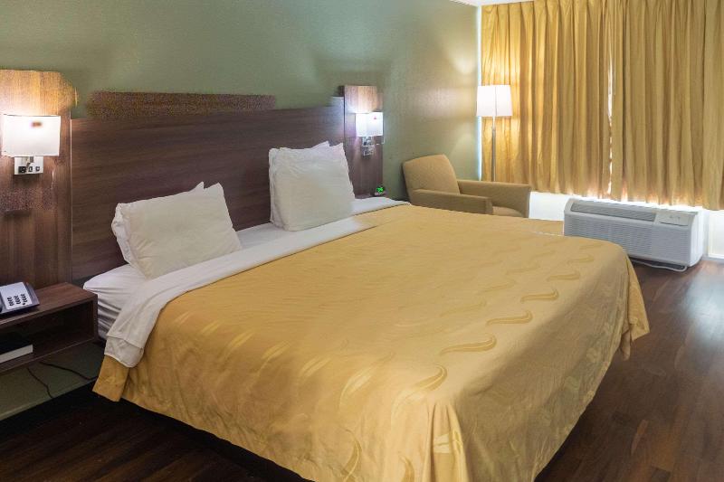 스탠다드 룸 킹사이즈 침대, Quality Inn Richmond Hill  Savannah I95