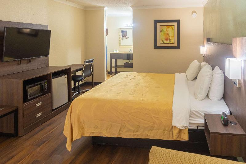 스탠다드 룸 킹사이즈 침대, Quality Inn Richmond Hill  Savannah I95
