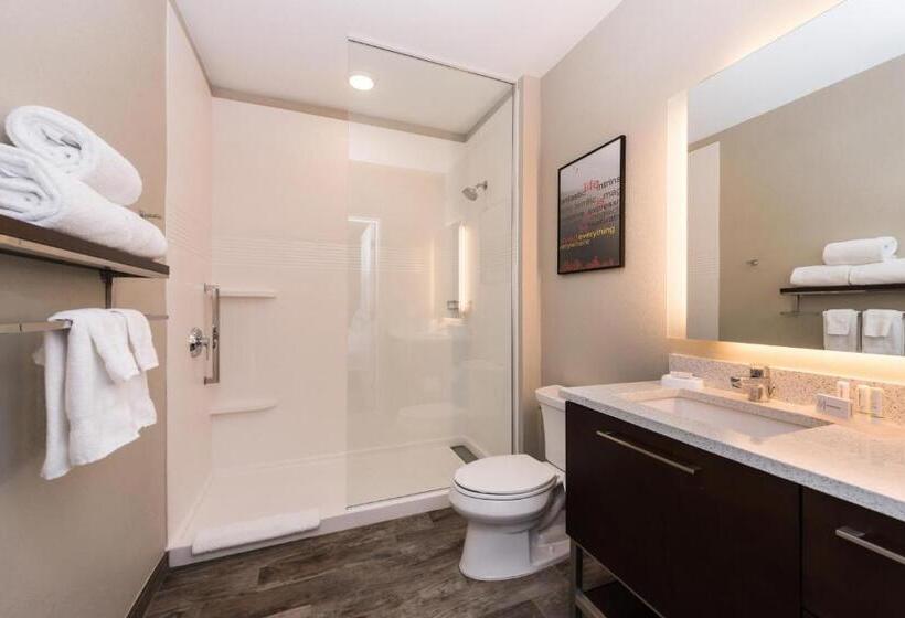 Студио Стандарт Кровать Кинг, Towneplace Suites By Marriott Tehachapi