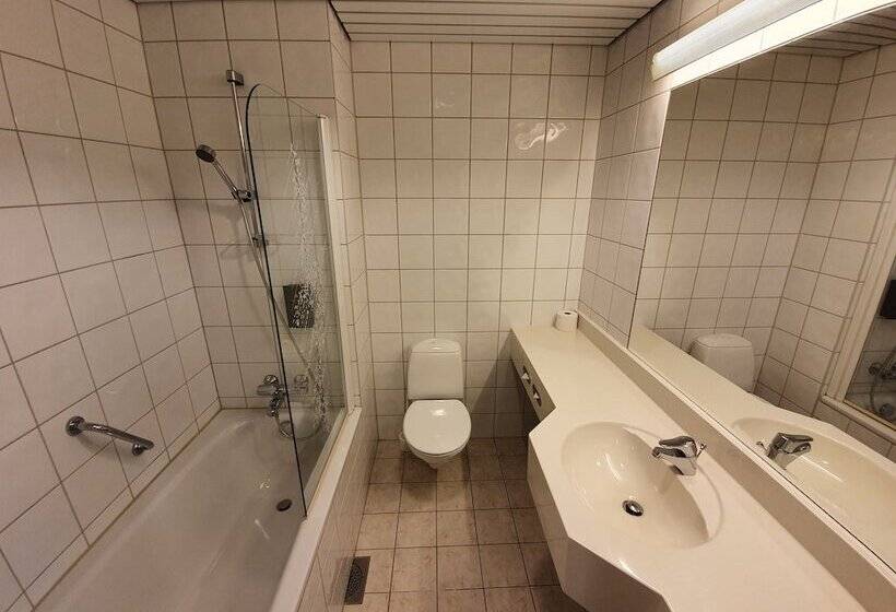 高级大房间, Røros Hotell   Bad & Velvære