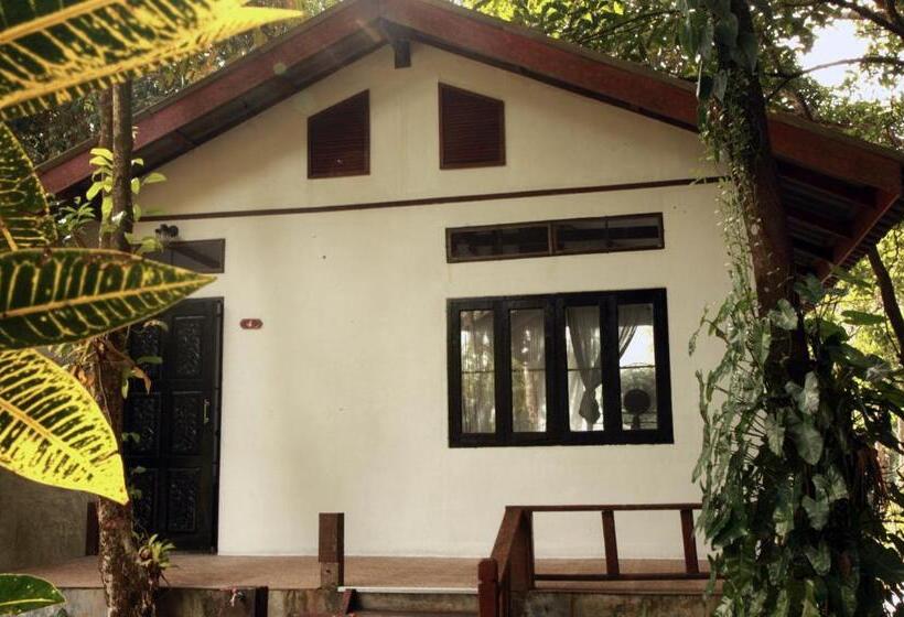 디럭스 방갈로, Barefoot Project Formerly Baan Klong Kleng
