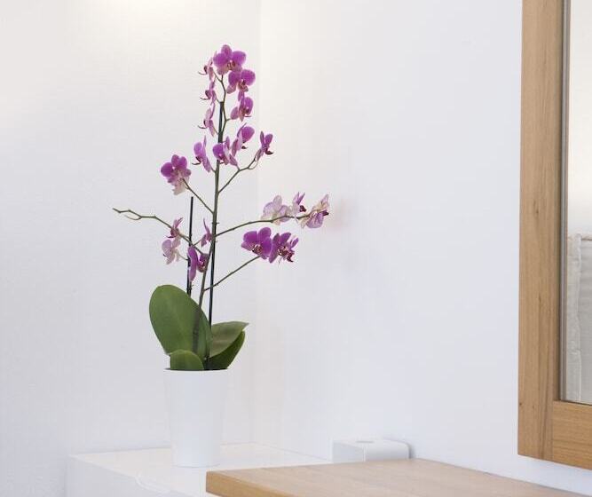 Chambre Standard, Anteliz Suites