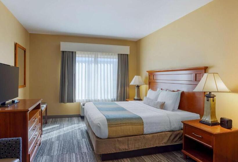 Номер Стандарт Кровать Кинг Адаптированный для Инвалидов, Best Western Plus University Park Inn & Suites