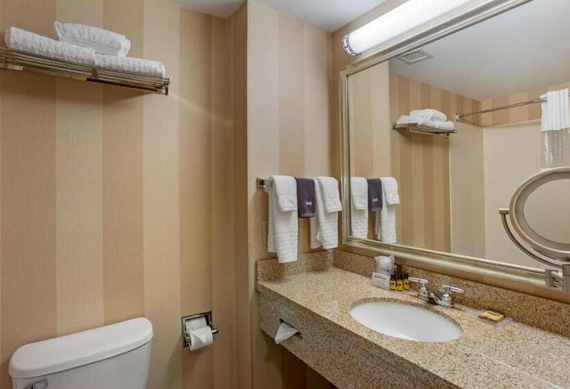 Номер Стандарт, Best Western Plus University Park Inn & Suites