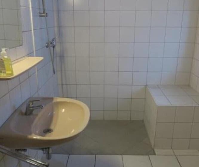 تختخواب در اتاق مشترک, Snowbunnys Backpackers Hostel