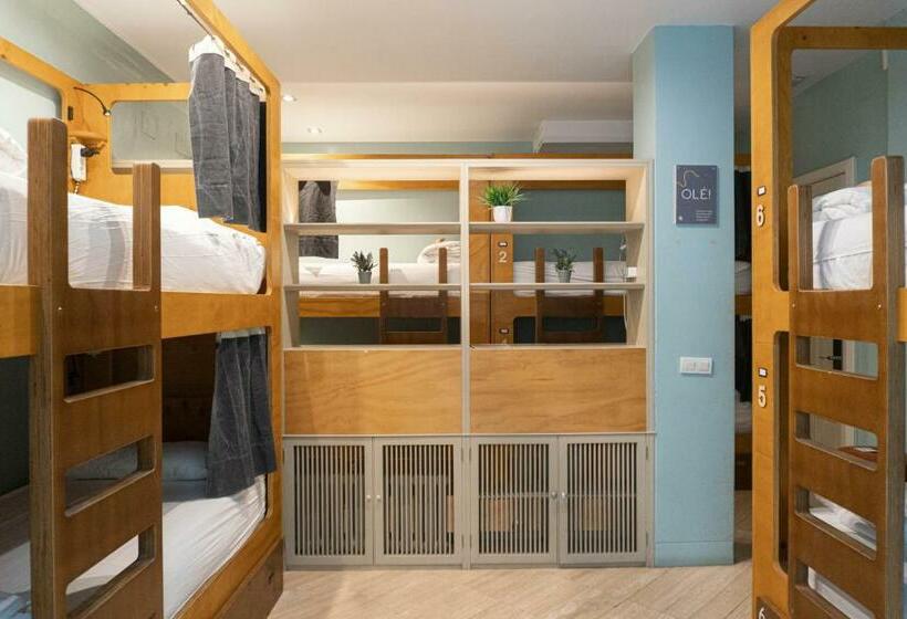 تختخواب در اتاق مشترک, La Banda Rooftop Hostel