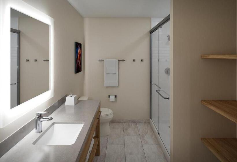 豪华工作室, Candlewood Suites   Columbia, An Ihg